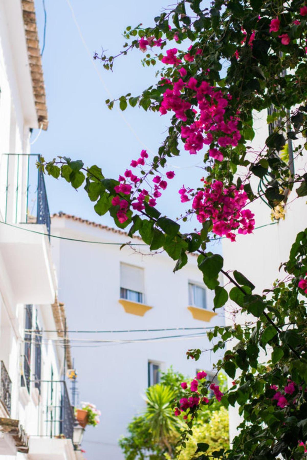 Superior 3Br Golfla Apartment Minutes From Puerto Banus & Marbella Málaga Esterno foto
